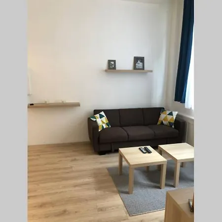 Apartment Joli 2 Pieces En Centre , Gare A 50 Metres Grenoble